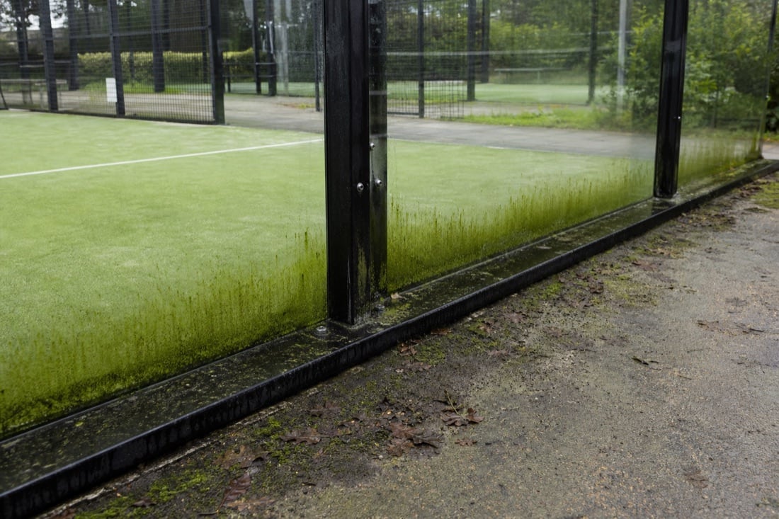 Groenaanslag langs de onderrand van padelglas voor reiniging